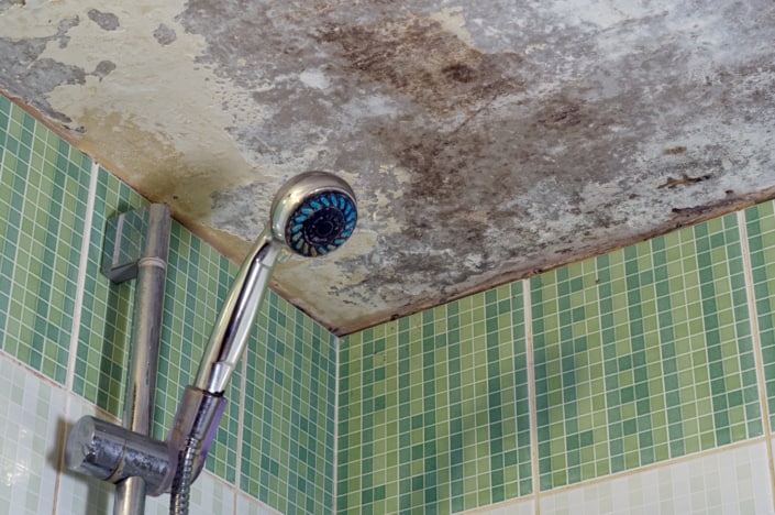 Bathroom Ceiling Mold Removal When To