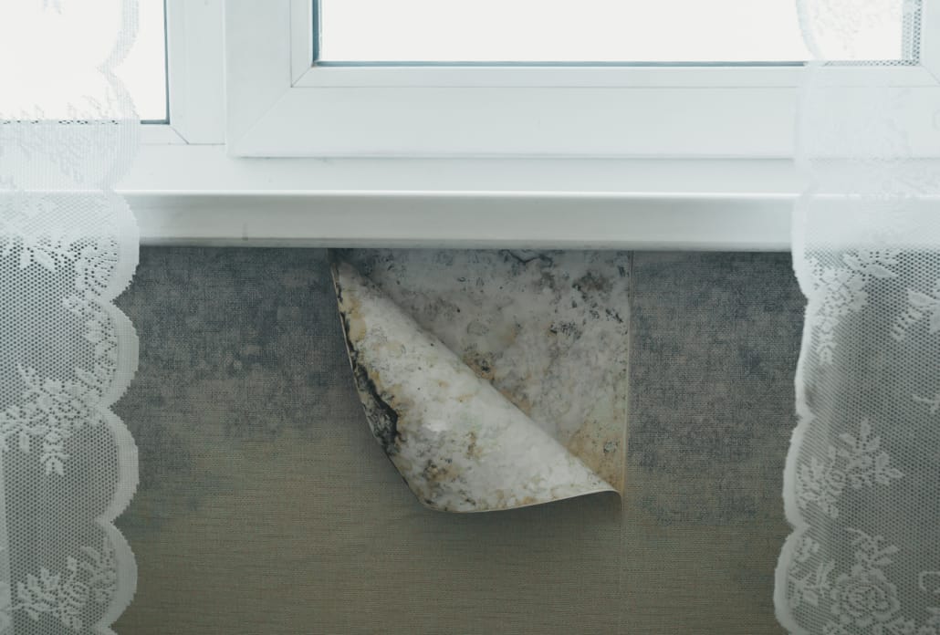 HOW WALLPAPER MAY LEAD TO MOLD Branch Environmental