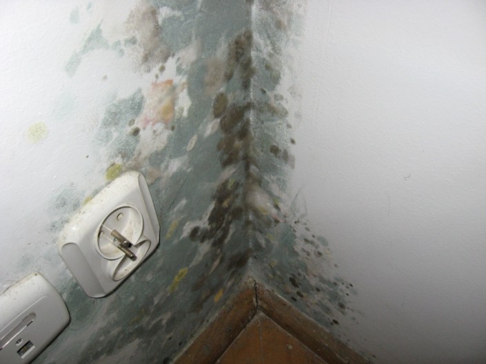 Mold On Bathroom Ceiling What To Do